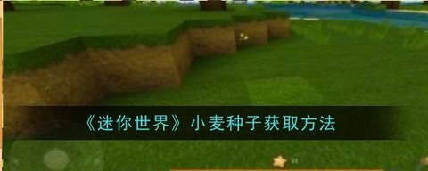 迷你世界怎么得到小麦[图1]