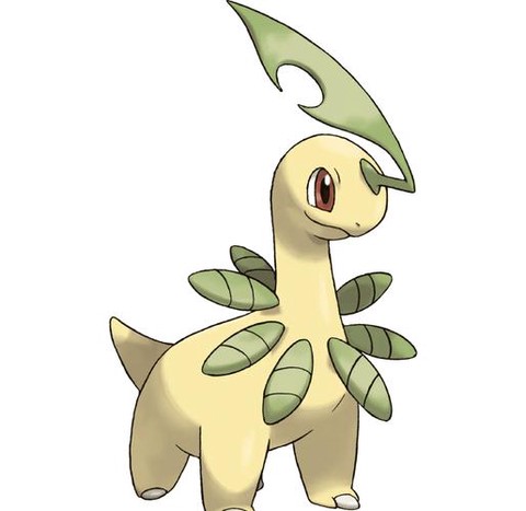 草系神奇宝贝有什么[图1]