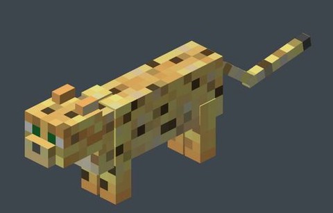 我的世界豹猫怎么找[图1]