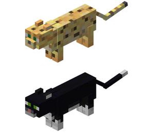 我的世界豹猫怎么找[图2]