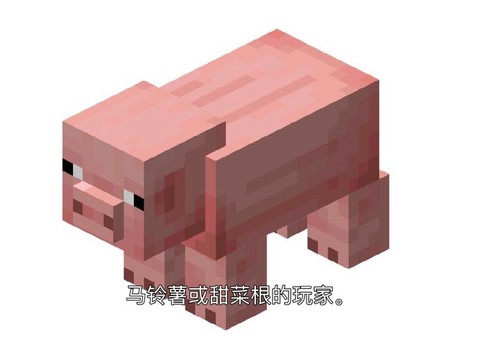 我的世界怎么吸引猪[图1]