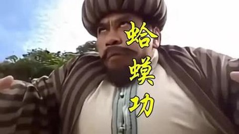 九阴真经毒蟾功配什么