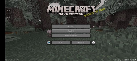 为什么我的世界打不开